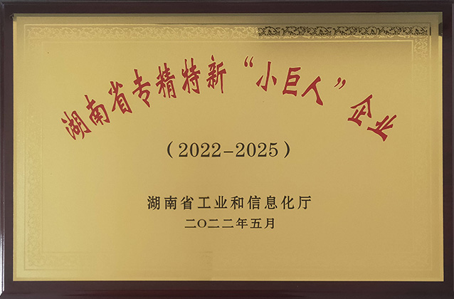2024年